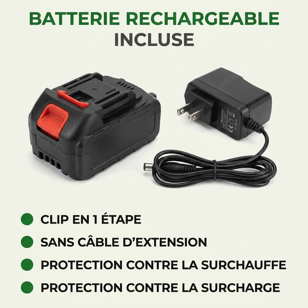 Batería recargable y cargador del S20 Pro
